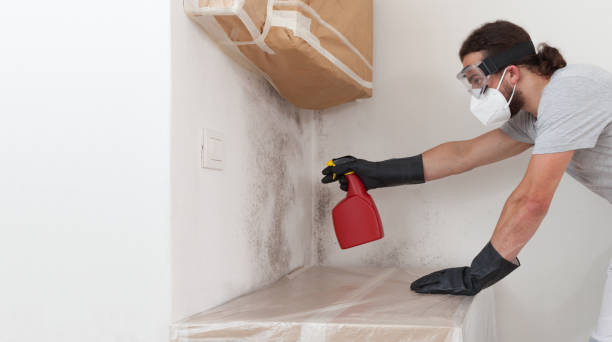 Professional Black Mold Remediation technician working in Peapack, NJ